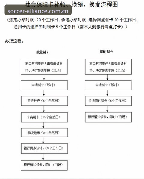 球盟会会员注册使用教程：从零开始的全流程操作指南